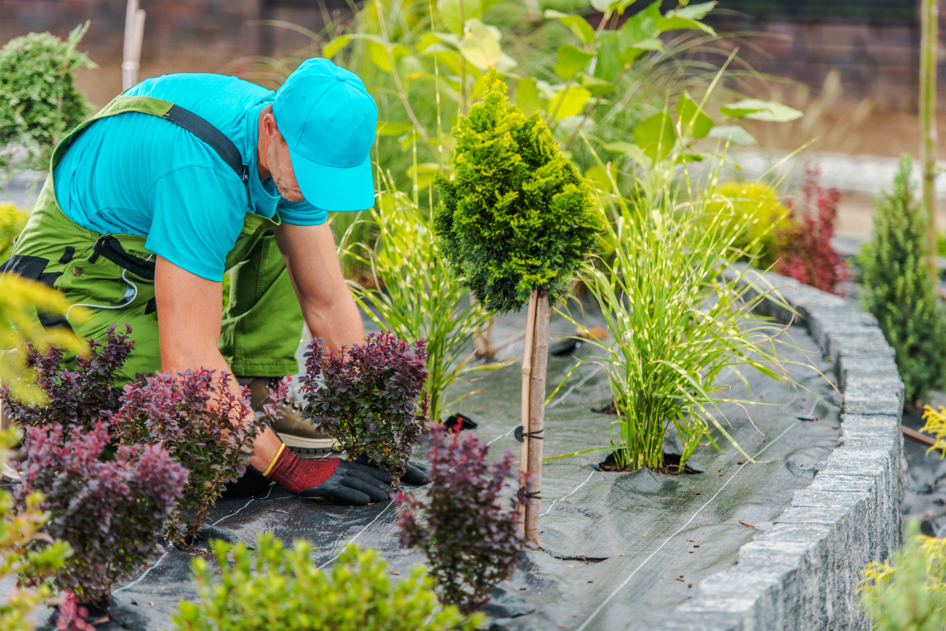 Garden Maintenance