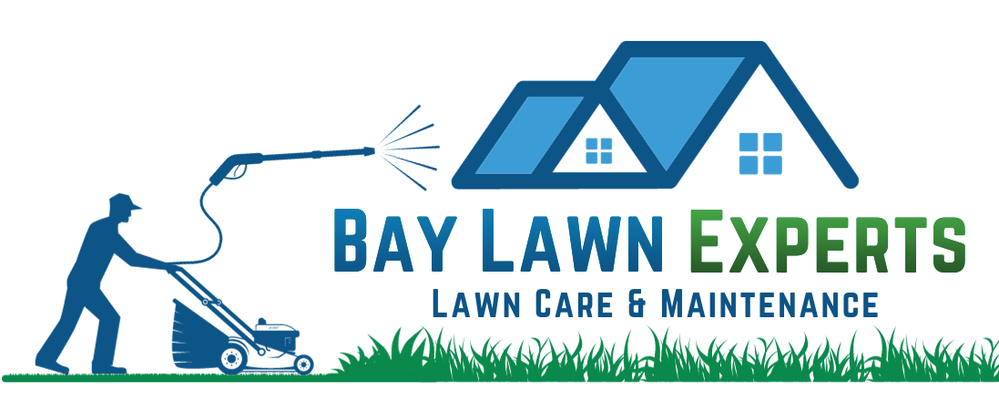 Bay Lawn Experts